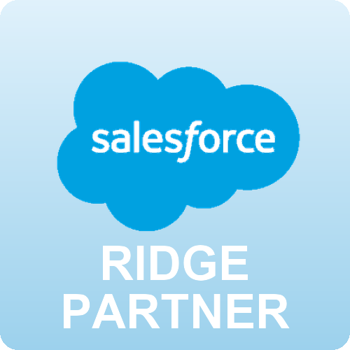 Salesforce Partner